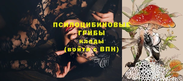 кокаин перу Бородино