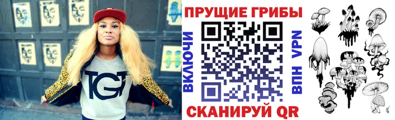 купить закладку  Велиж  Псилоцибиновые грибы мицелий 
